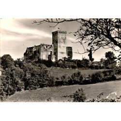 65130 - LE CHÂTEAU-FORT DE MAUVEZIN - FORTERESSE DES COMTES DE BIGORRE