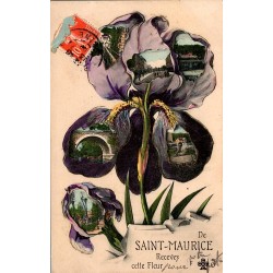 94410 - SAINT-MAURICE - 'RECEVEZ CETTE FLEUR'