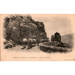 30570 - L'AIGOUAL - ROUTE DU VIGAN - GROUPE DE BOEUFS