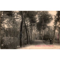 COUNTY 02800 - LA FERE - PLANE TREES ALLEY