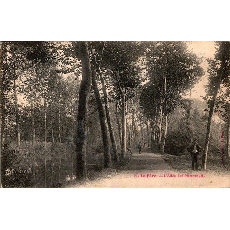 COUNTY 02800 - LA FERE - PLANE TREES ALLEY