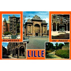 COUNTY 59000 - LILLE - Riches of the past