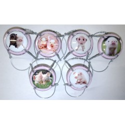 Capsules - The tiny pigs collection - Series of 6